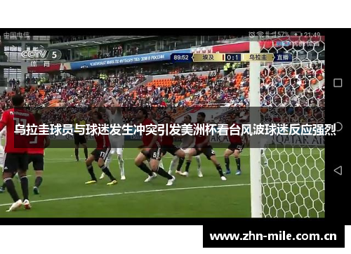 乌拉圭球员与球迷发生冲突引发美洲杯看台风波球迷反应强烈